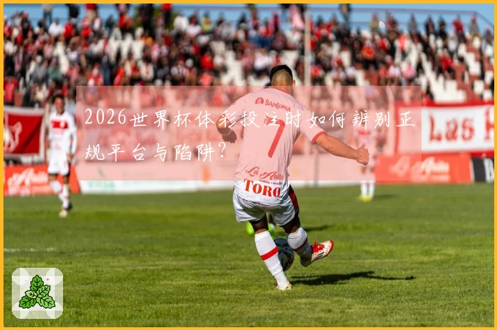 2026世界杯体彩投注时如何辨别正规平台与陷阱？