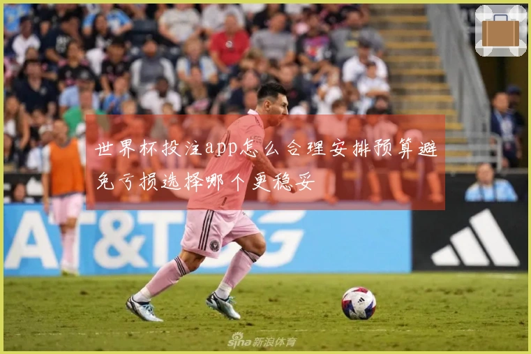 世界杯投注app怎么合理安排预算避免亏损选择哪个更稳妥