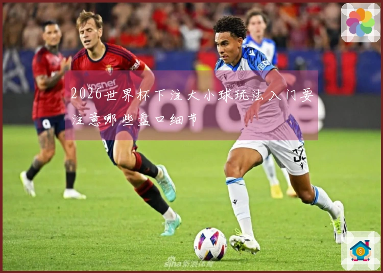 2026世界杯下注大小球玩法入门要注意哪些盘口细节