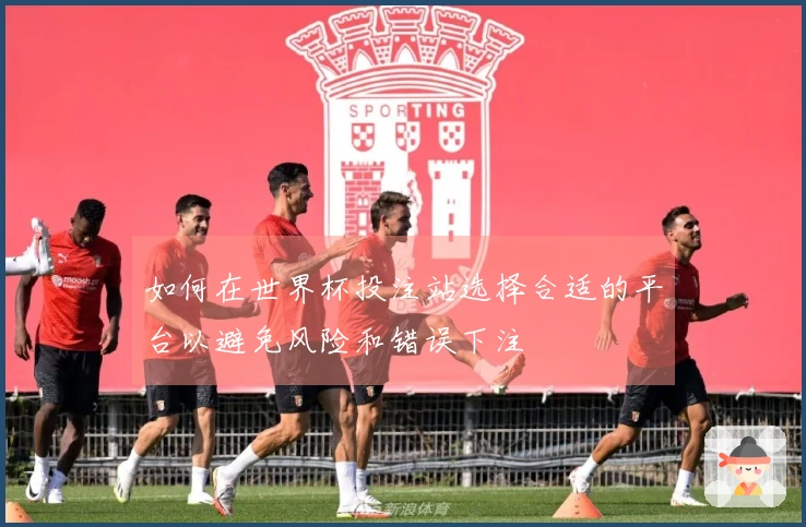 如何在世界杯投注站选择合适的平台以避免风险和错误下注