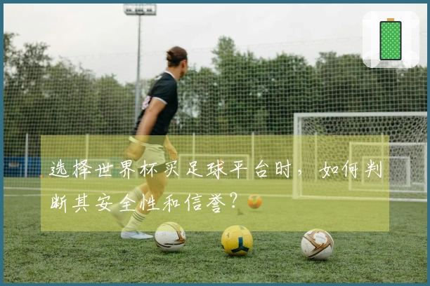 选择世界杯买足球平台时，如何判断其安全性和信誉？